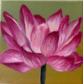 Pink Lotus