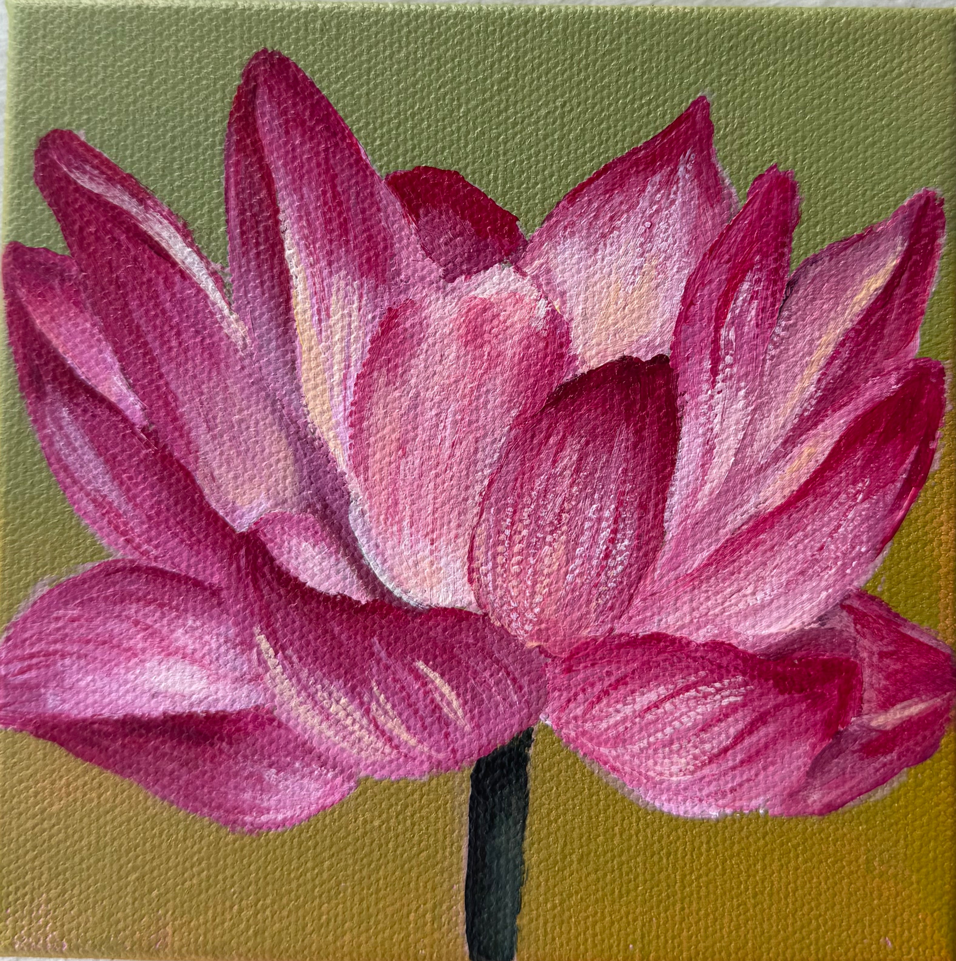 Pink Lotus