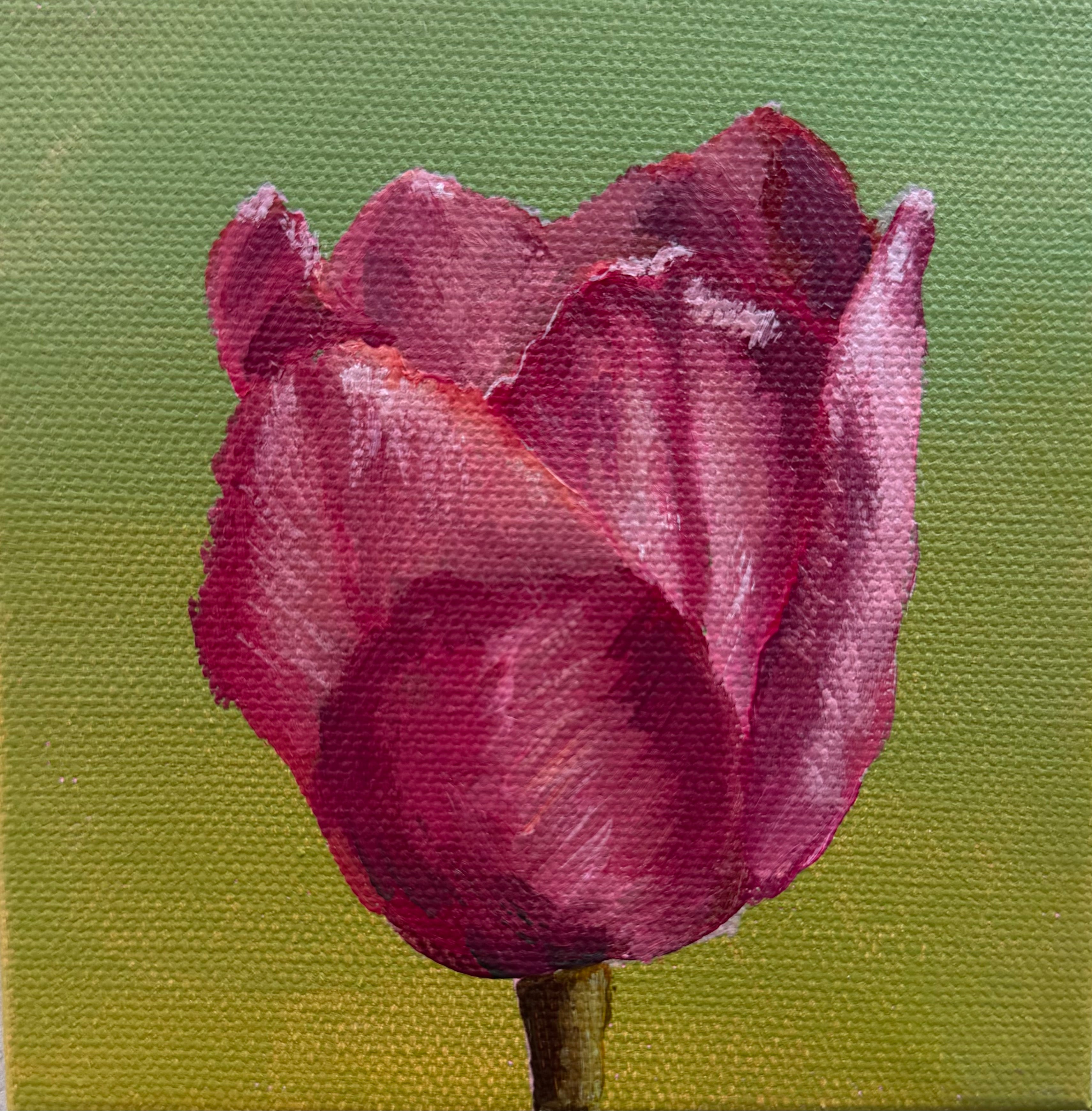 Pink Tulip original