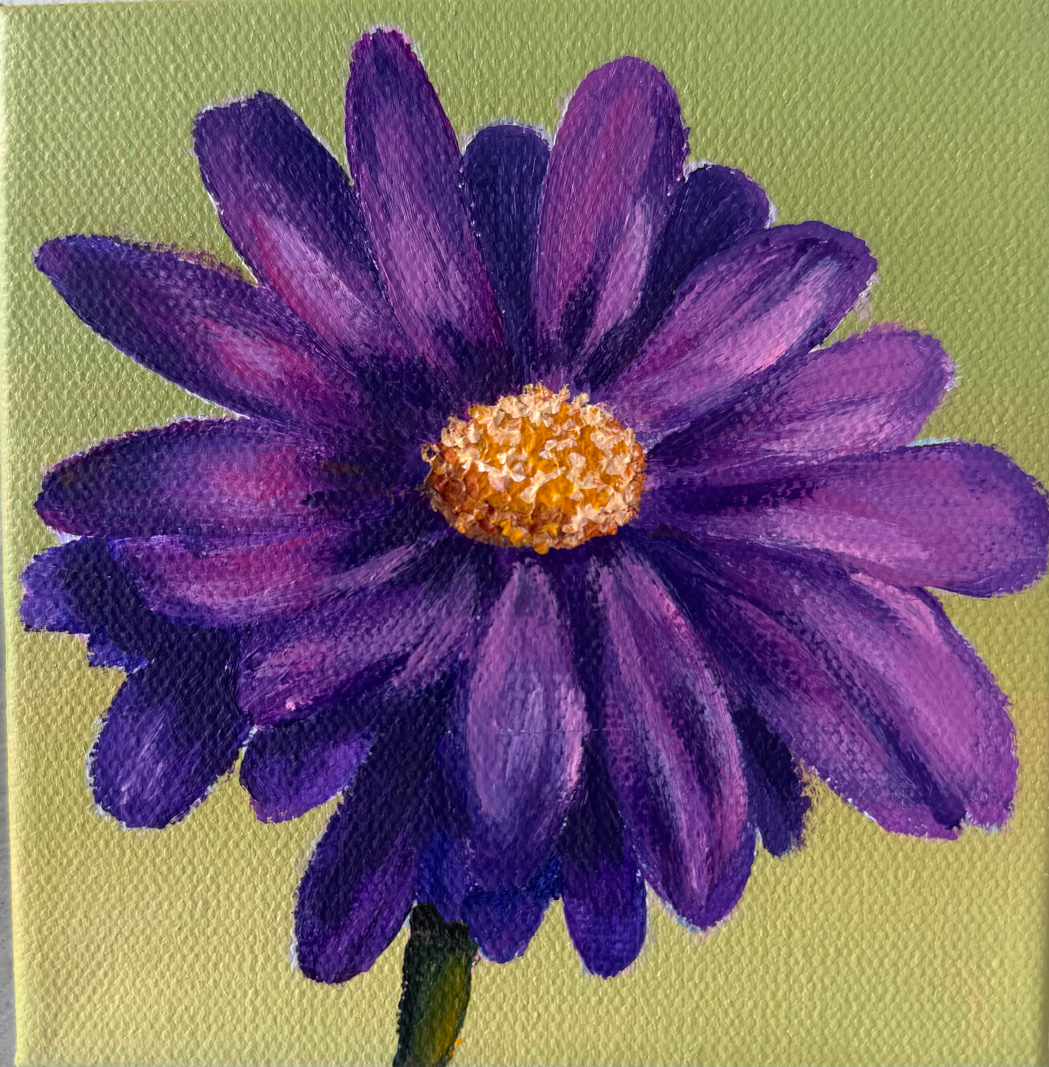 Purple Daisy