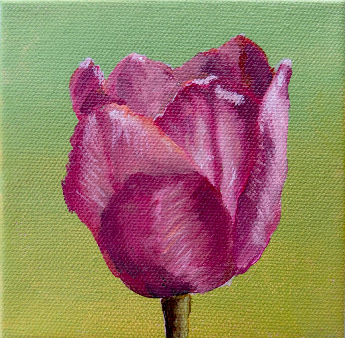 Pink Tulip Print