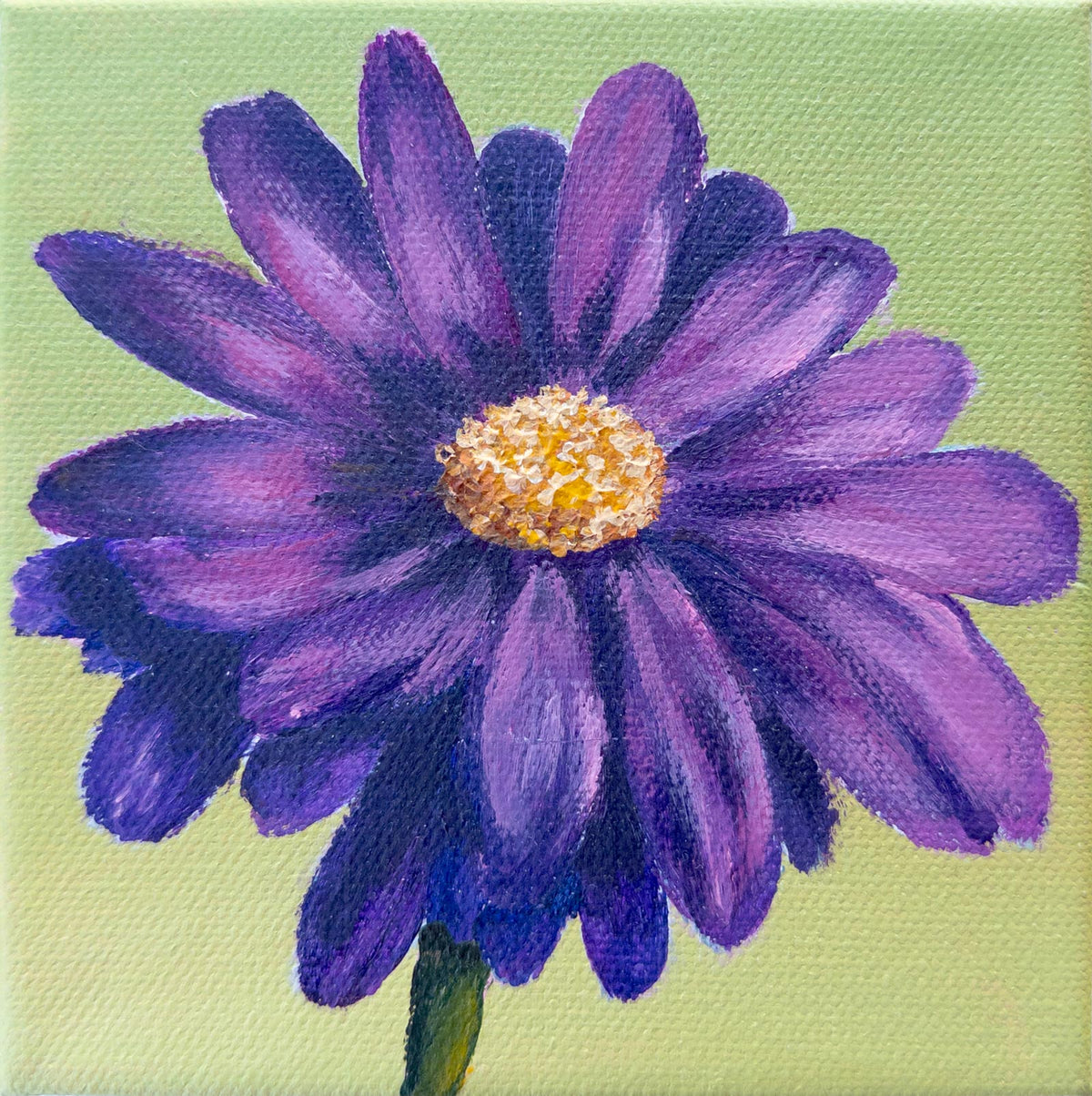 Purple Daisy Print
