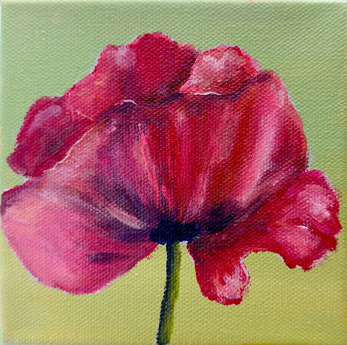 Red Poppy Print